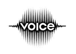 Voice Industries